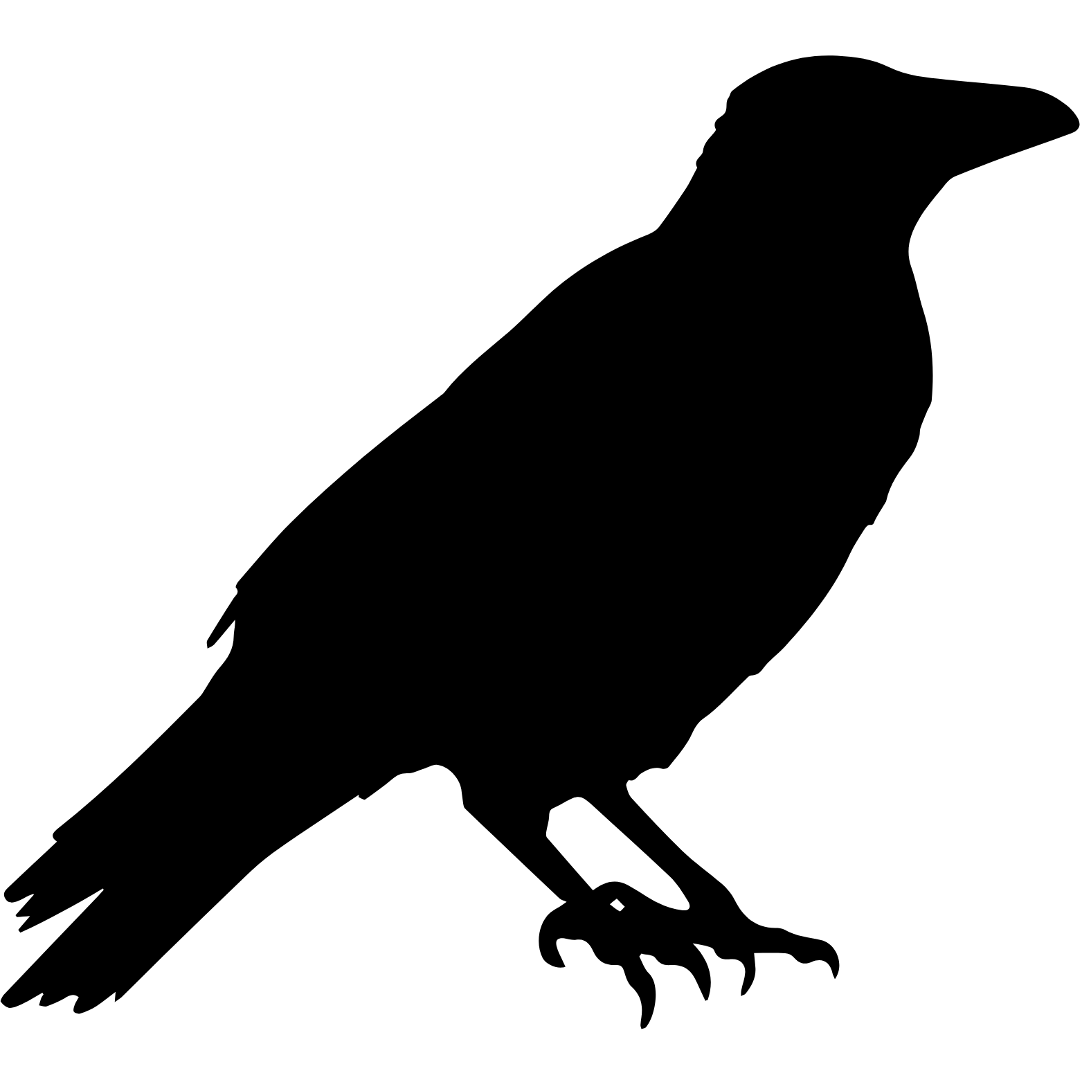 Significato sogno corvo