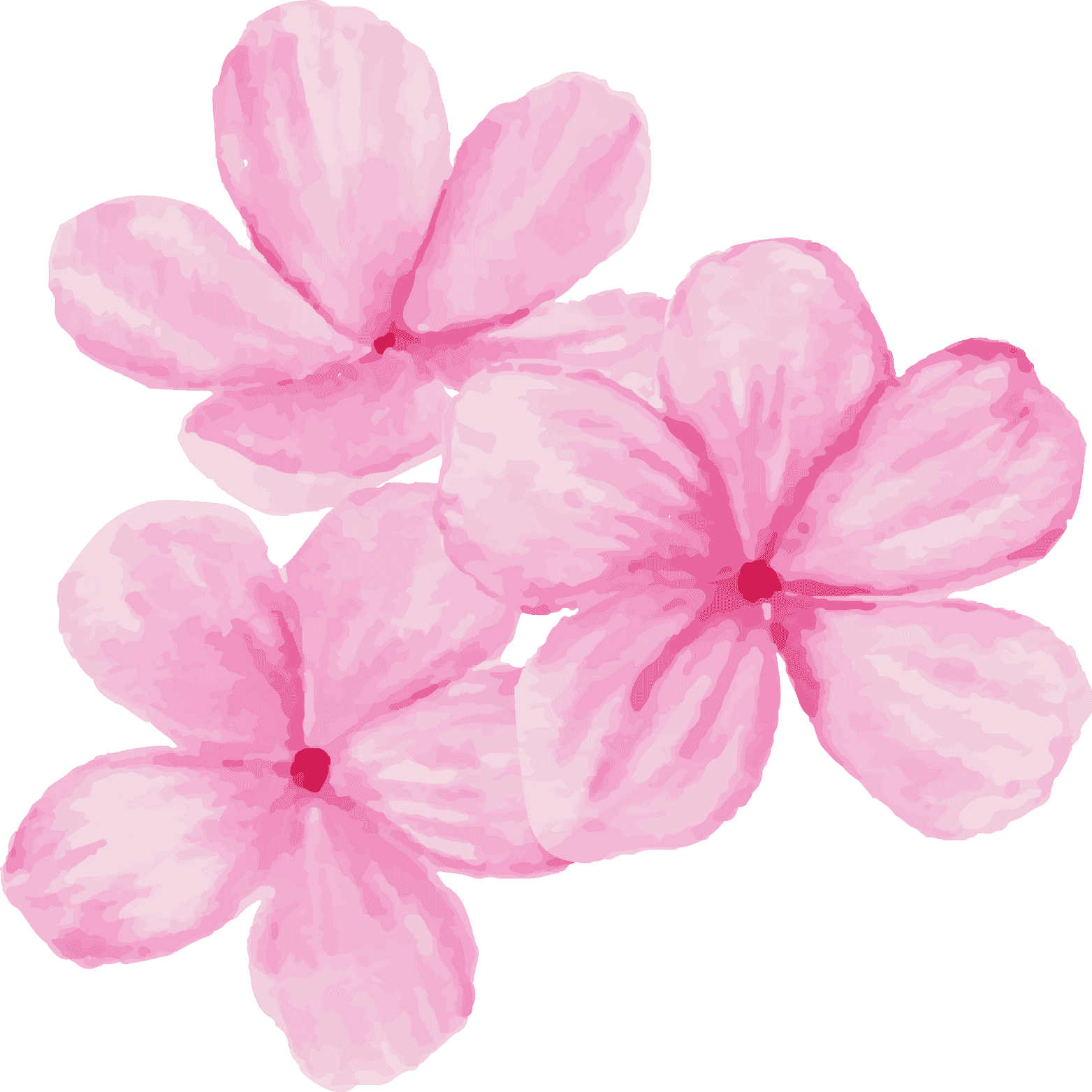 Significato sogno fiori